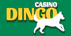 casino dingo canada